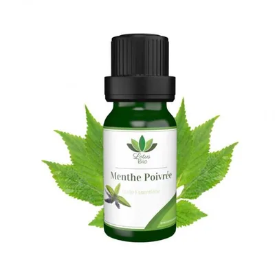 Lotus Bio Huile Essentielle de Menthe Poivree