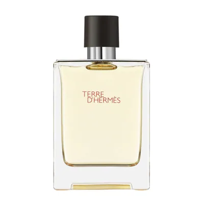 Terre D'hermes Eau de Toilette